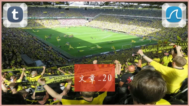 文章_20