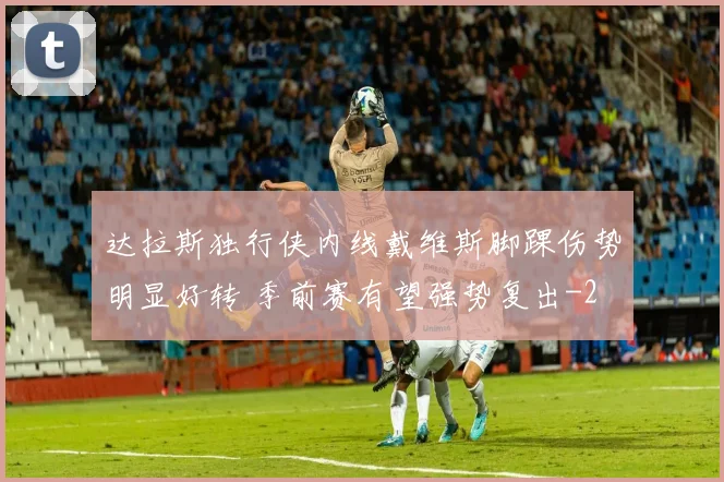 达拉斯独行侠内线戴维斯脚踝伤势明显好转 季前赛有望强势复出